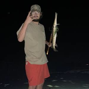 Meet your Posher, Hunter